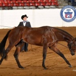 HOT MEAD - Out of Made To Be Natural