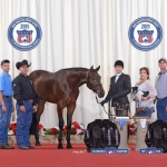 HOT MEAD - Out of Made To Be Natural