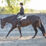 HOTT DAM - Out of Moxies Legacy