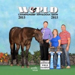 IRONIC (ApHC) - Out of Its All About Me