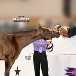 IRONIC (ApHC) - Out of Its All About Me