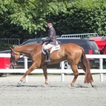 MY INVITATIONS R HOT - Out of Thats My Invitation