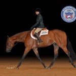 THESE IRONS RCHIPPED - Out Of MJ Chips And Zips