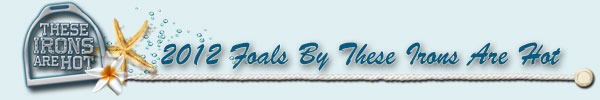 These Irons Are Hot 2012 Foals