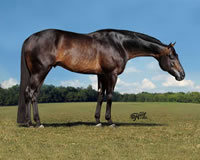 These Irons Are Hot