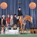 THESEIRONSARESTRAIT - Out of Barbie Strait To You