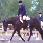 CERTIFIED IRON - Out Of Artful Rose