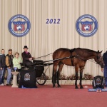 CITYBOY OR COWBOY - Out of Hot Anticipation