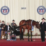 CITYBOY OR COWBOY - Out of Hot Anticipation