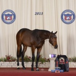 DECKLARED HOT-  Out of Slew of Grace (TB)