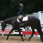 HOPEFULLEIGH - Out of Hopeful Assets