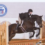 HOT STYLISH IRONS - Out of Teezing With Style