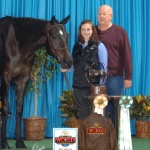 HOT STYLISH IRONS - Out of Teezing With Style