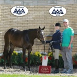 HOTT AND DANGEROUS - Out of Mrs Steven Rudy