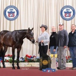 HOTT AND DANGEROUS - Out of Mrs Steven Rudy