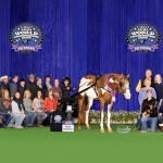 LIVING LARGE - Out of Quit Staring (TB)