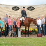 NATURAL MEAD - Out of Made To Be Natural