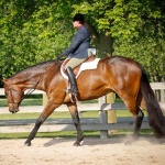 SIMON SAYS DANCE - Out of Already Dancin