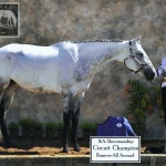 SKYS LADY IN BLUE - Out of Sky Blue Candy