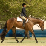 STOP N STARE IM HOT - Out of Natural Enuff