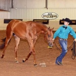 THESE IRONS R REDHOT (ApHC) - Out of Its All About Me