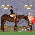 THESE LEGS ARE COOL - Out of Chipfaced