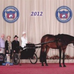 TOO HOT TO DUPLICATE - Out of Nora Lee (TB)