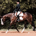 TOO HOT TO IRON (APHA) - Out of Charismatic Turn