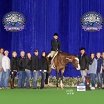 TOO HOT TO IRON (APHA) - Out of Charismatic Turn